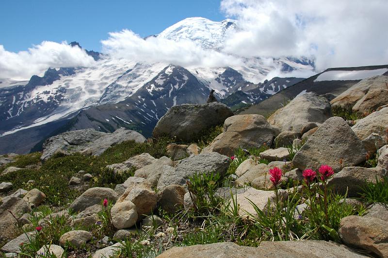 DSC_2280.JPG - Mount Rainier