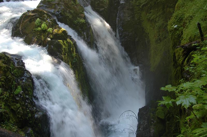 DSC_2314.JPG