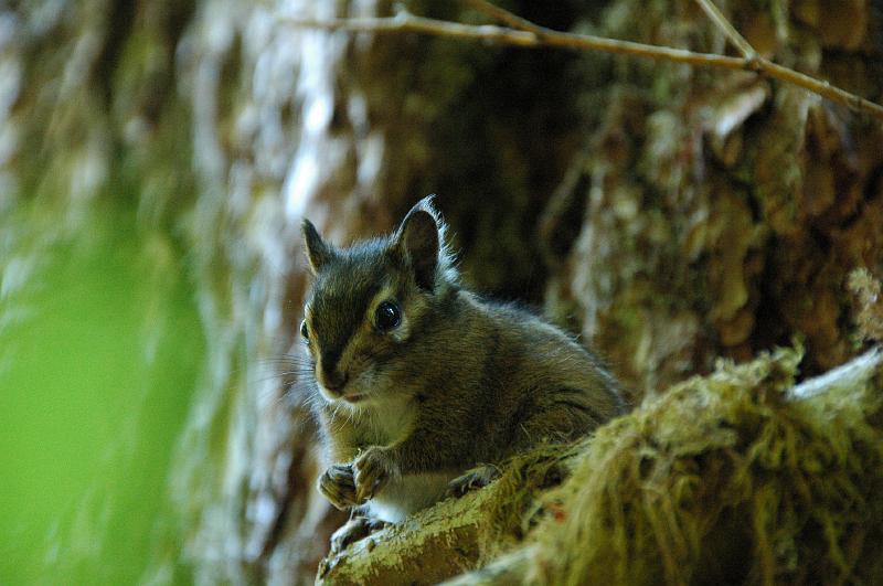 DSC_2396.JPG