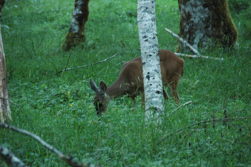 DSC_2401.JPG